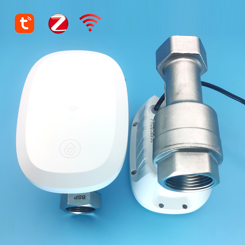 Tuya Zigbee Garden Irrigation Controller - Умный Wi-Fi счетчик воды Zigbee Tuya