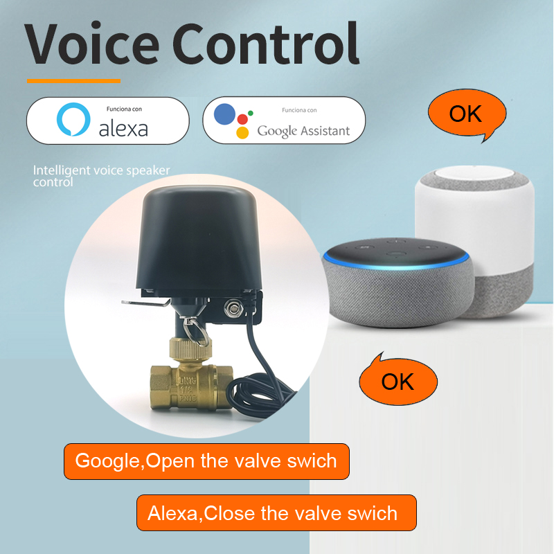 Умный клапан для воды Tuya Zig – обзор и цена Tuya Zigbee Garden Irrigation Controller