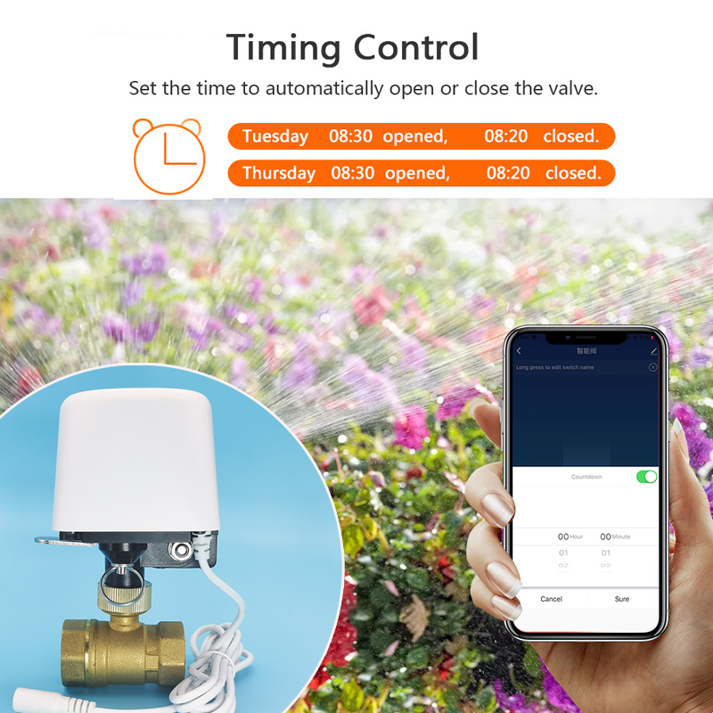 Водяной клапан Tuya Wi-Fi Zigb – обзор и цена Tuya Zigbee Garden Irrigation Controller